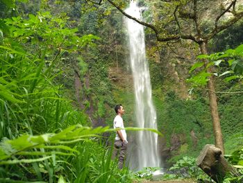 Side view of man standing against waterfall in forest