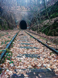 Railroad tracks amidst trees in forest during autumn