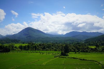 Scenic view of field against sky