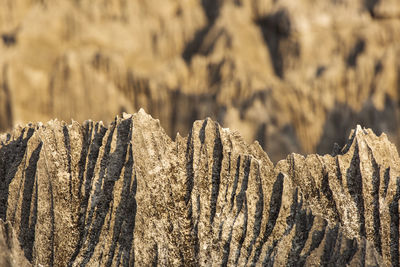 Close-up of rock formation outdoors