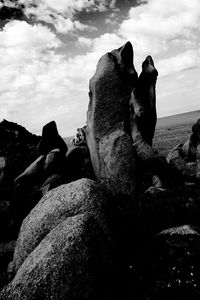 Dog relaxing on rock