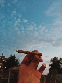 Cropped image of person holding bread against sky