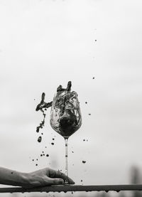 Cropped image of person holding water