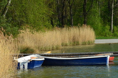 Boats moored on grass by trees