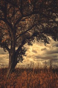 Scenic view of landscape against cloudy sky