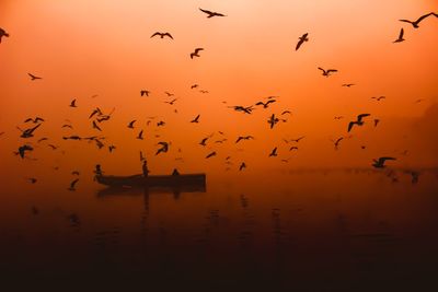 Flock of birds flying over boat on lake against orange sky