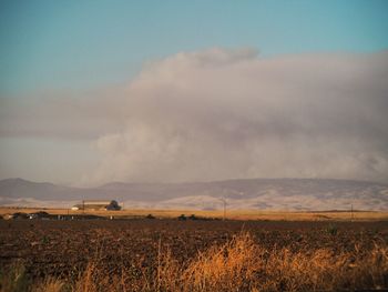 Scenic view of field against sky