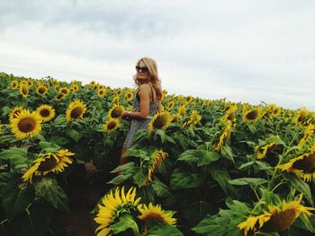 Side view of woman standing in sunflower field against sky