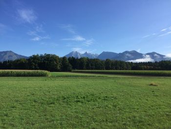 Scenic view of field against sky