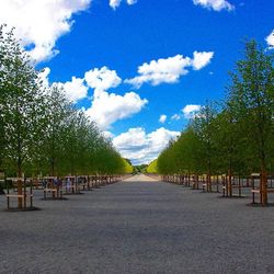 Empty road along trees