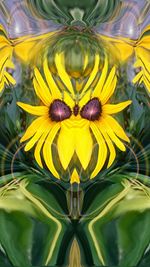 Close up of yellow flowers