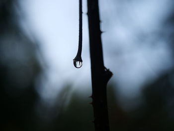 Close-up of water drops on metal against blurred background