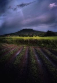 Scenic view of field against sky