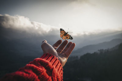 Low angle view of butterfly on hand against sky