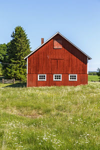 Red barn at a flowering meadow in an idyllic summer landscape