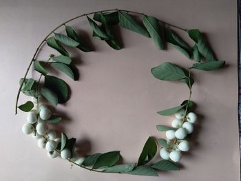 Directly above shot of white roses on table