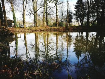 Reflection of trees in lake against sky