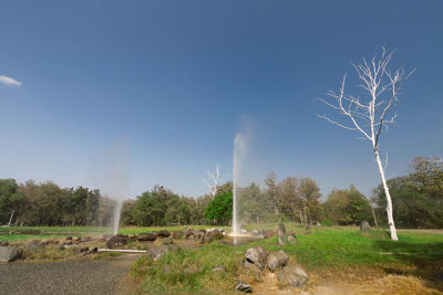 View of trees on field against sky