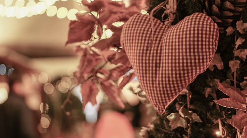 Close-up of christmas tree at night