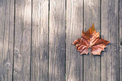 Autumn leaf on wooden table