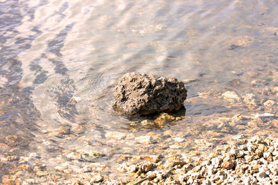 Close-up of rock at beach