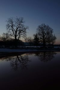 Reflection of bare trees in lake