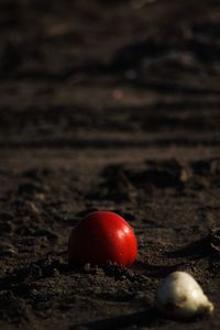 Close-up of red fruit