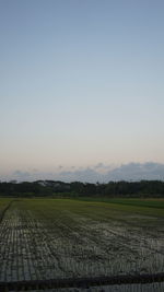 Scenic view of agricultural field against sky during sunset