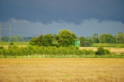 Scenic view of field against sky