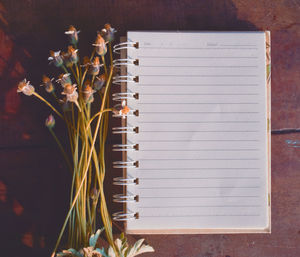 High angle view of white flowers on table