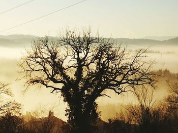 Silhouette bare tree against sky during sunset