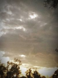 Low angle view of trees against cloudy sky