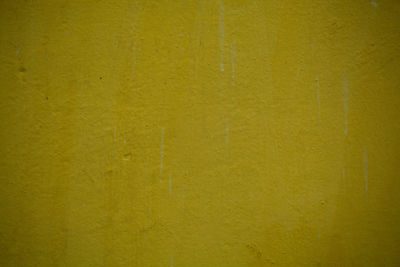 Full frame shot of yellow wall