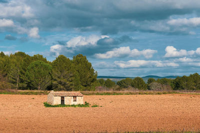 Scenic view of trees on field against sky