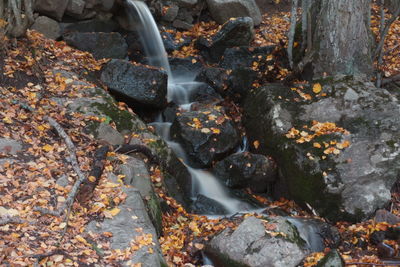 Close-up of rocks in water