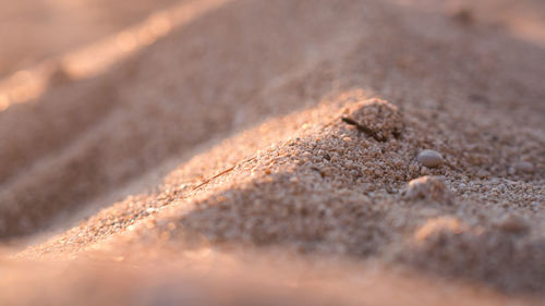 Close-up of sand on beach