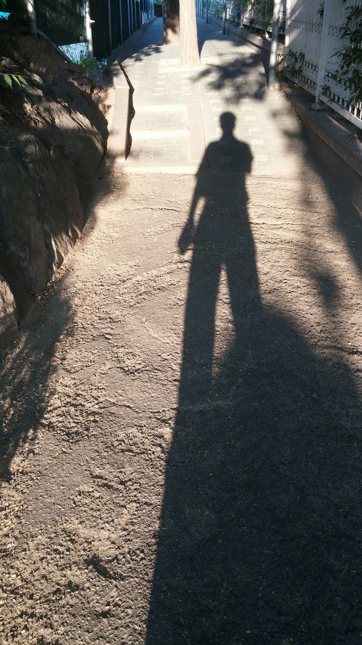 shadow, sunlight, the way forward, street, walking, road, lifestyles, asphalt, focus on shadow, full length, day, leisure activity, rear view, road marking, unrecognizable person, outdoors, dog, footpath
