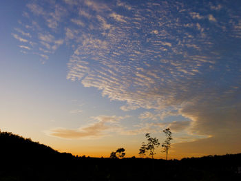 Silhouette trees on field against sky at sunset