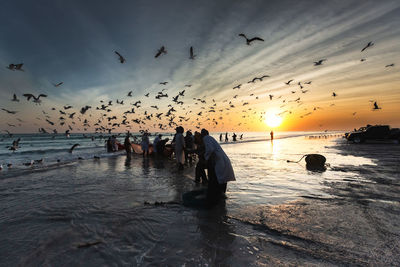 People fishing on beach