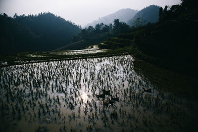 Scenic view of river by mountains against sky