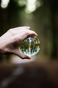 Close-up of hand holding crystal ball with reflection in forest