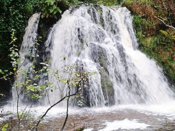 View of waterfall in forest