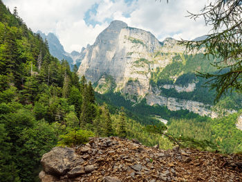 The cima sophia, sophia mountain high 2360 metres. light massive in molveno region, brenta dolomites