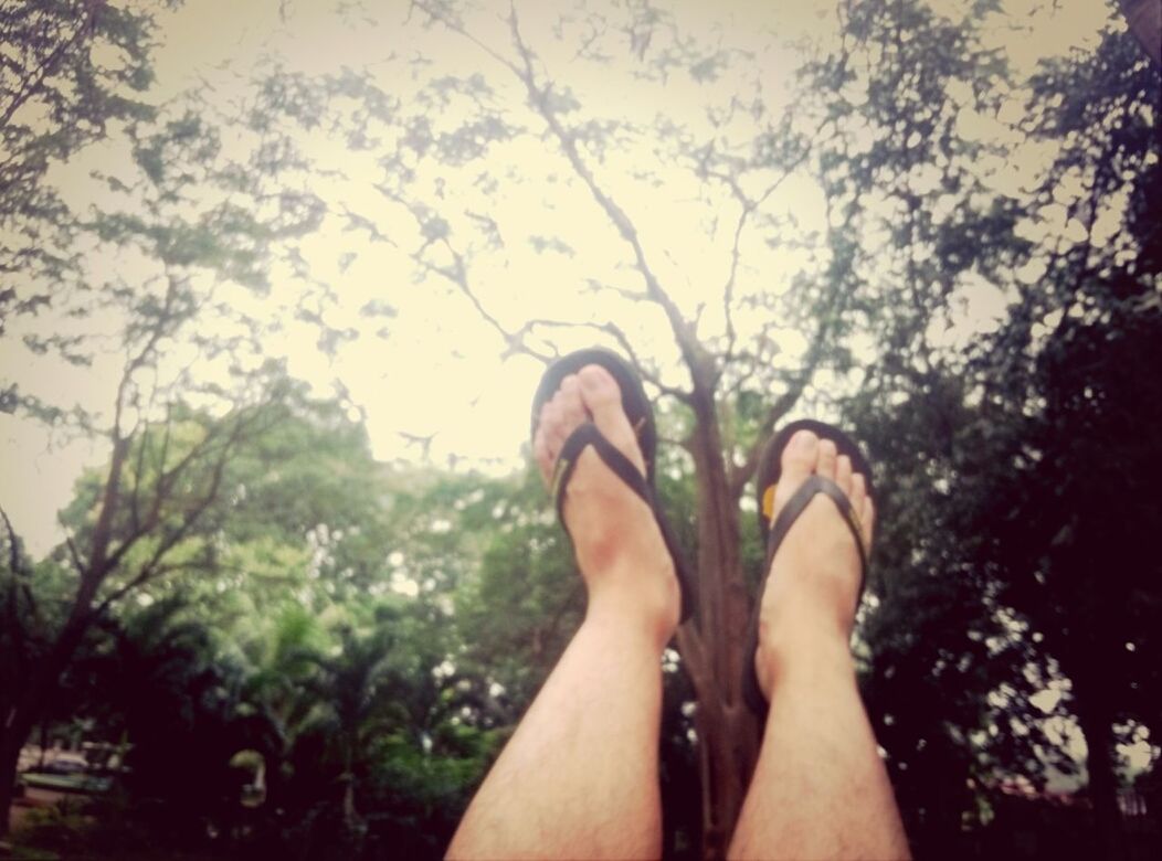 low section, personal perspective, person, lifestyles, tree, leisure activity, human foot, part of, relaxation, barefoot, shoe, outdoors, day, legs crossed at ankle, standing