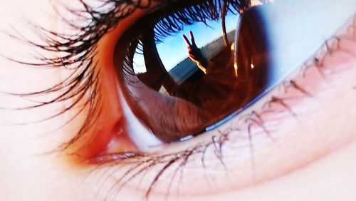 Close-up of human eye