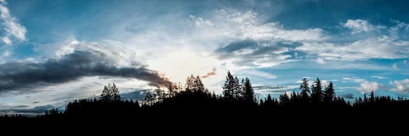 Low angle view of silhouette trees against sky during sunset