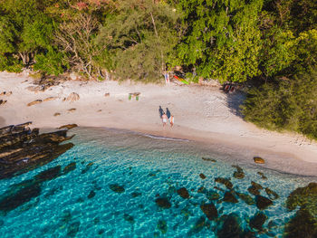 Rear view of man walking on beach