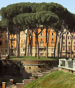 View of built structure with trees in foreground
