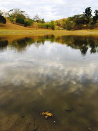 Reflection of trees in lake against sky