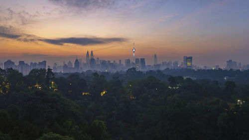 Trees in forest with cityscape in background during sunset